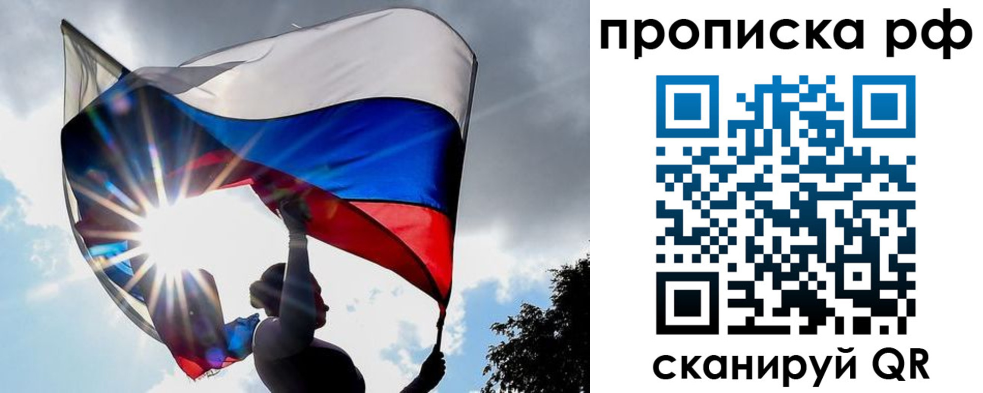 прописка для школы в Фрязино